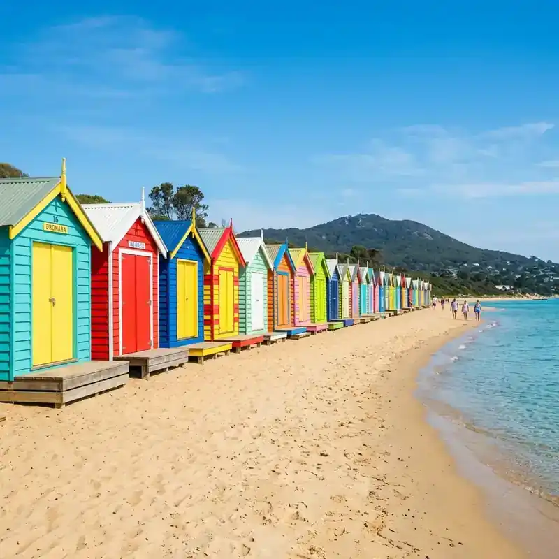 Maxi Taxi & Group Transport Solutions on the Mornington Peninsula